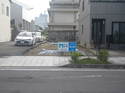 渶