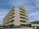 ��������ϥ���MATSUO��501��