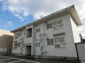 �����󥿡��ͥåȻ�����̵����CASA��CANALE�ʥ����������ʡ����202�漼