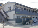ңɣ201Թ1LDKͥåȲ̵