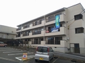 IDEAHOUSE303漼Υ١ʪ󥿡ͥå̵