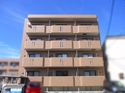 �᥾��ɥݥ졼�롡403