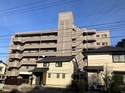 ᥾SAIKA402漼