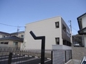 ԥŲաǥ漼