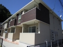 ������ȡ��֥꡼���¡��������漼