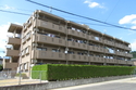 �������롦�ɥߡ���106�漼����ǵ�ڤ�3LDK���ޥ󥷥�󥿥��פΤ�������