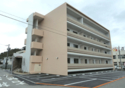 �ɥ�����Į 305