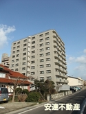 🌸Υӥƥǵ105漼🌸
