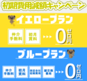 󥤥ϡȭ()桡ڿ͵Υ᥾ͥåȡͷƵʬ̣廊뤫⡩