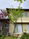 🏠✨ Ȭ�����߲ȡø����餷�ɹ����ͷ���✨ 🏠