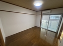 ���졼�������ȭ�