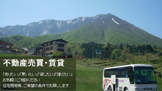 �ᥤ�������